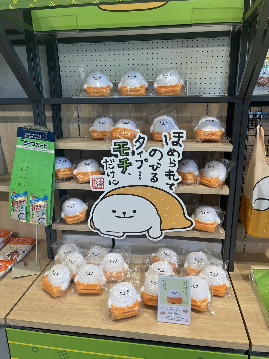 はじめちゃん🐏 tweet media