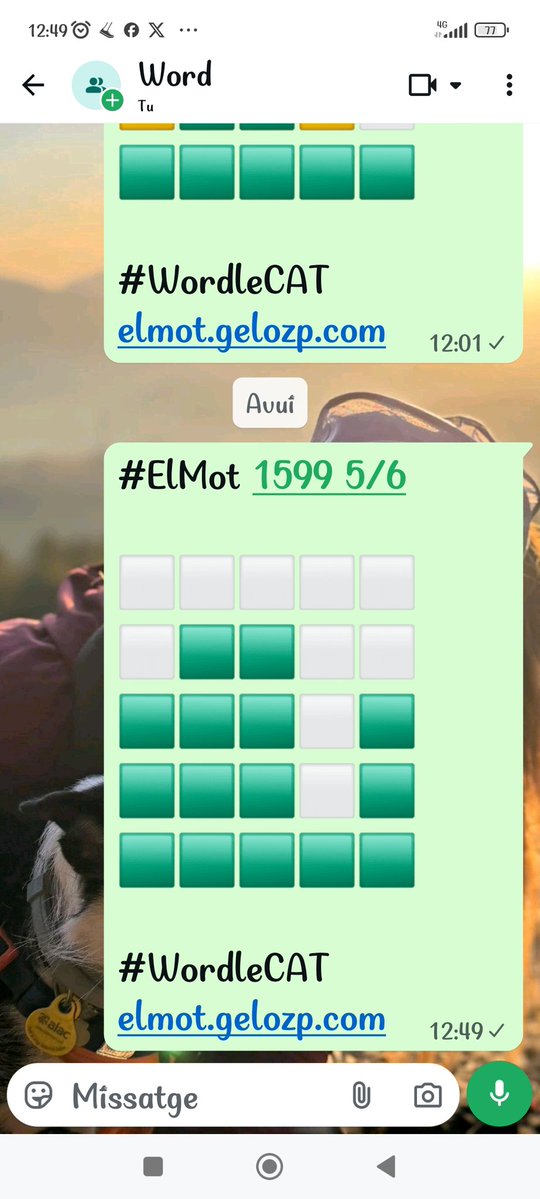 Guinardovina tweet media