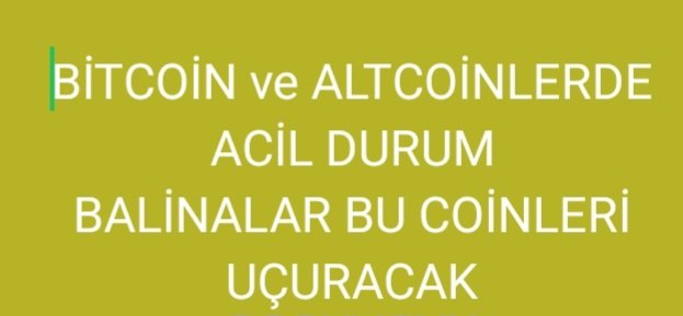 King Of Para tweet media
