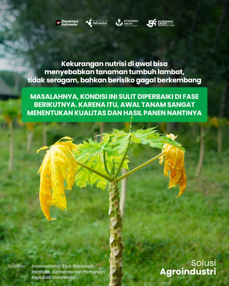 Petrokimia Gresik tweet media