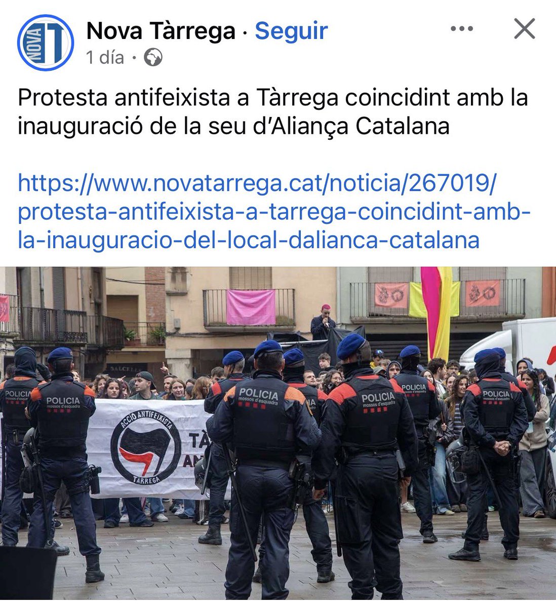 pelacanyes tweet media