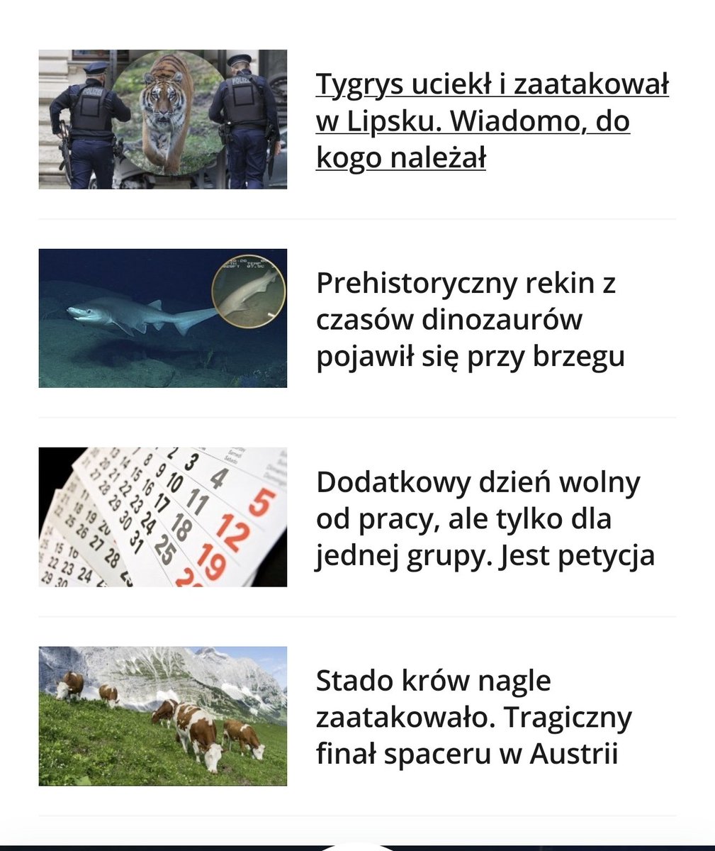 Agnieszka tweet media