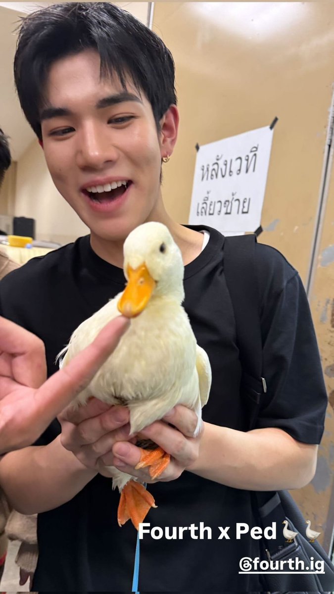 🐣 tweet media