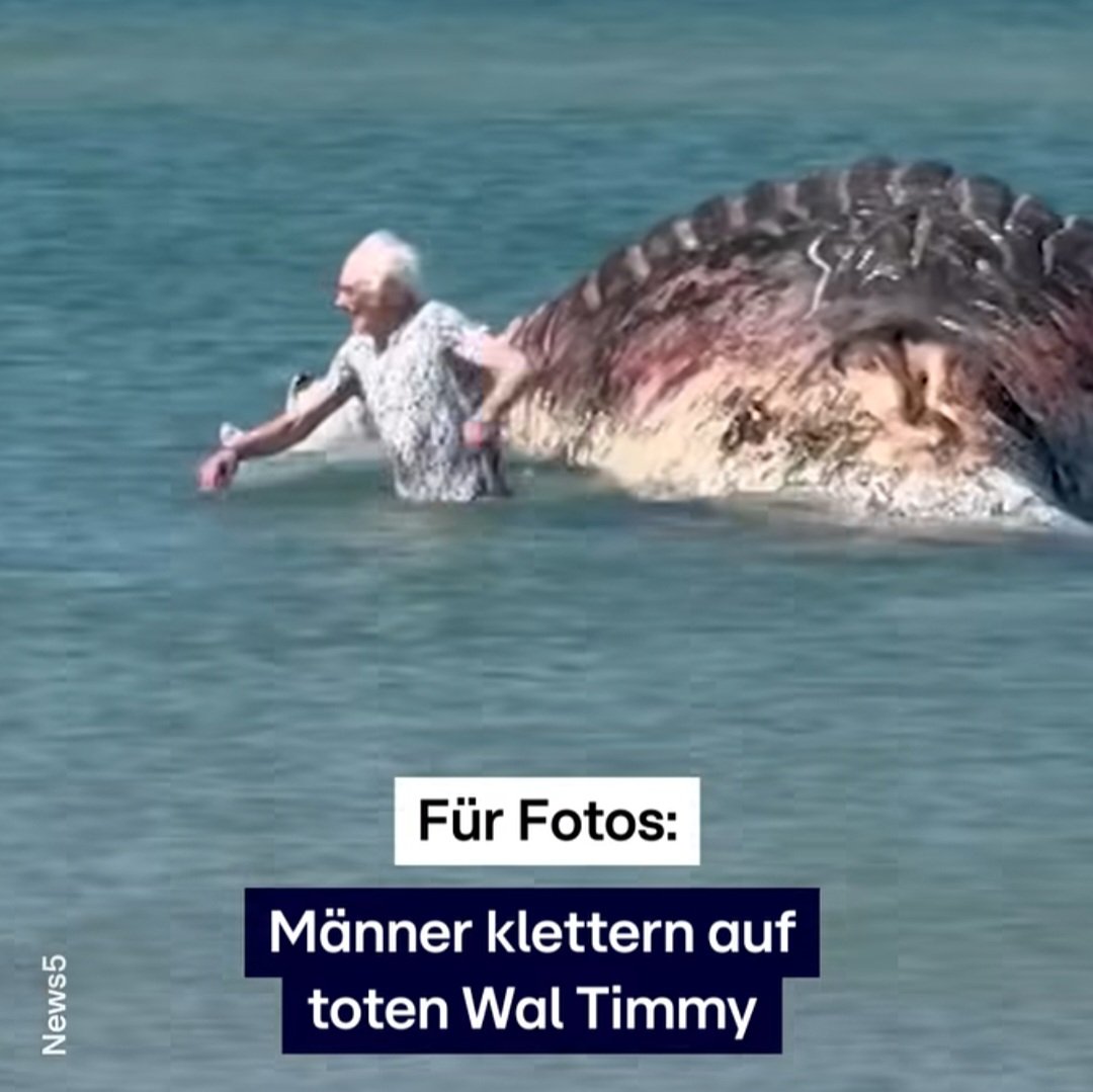©Marcus_mit_Zeh tweet media