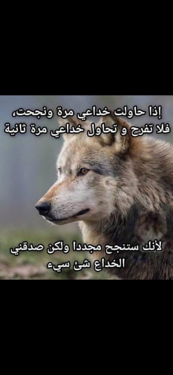 RAEDN🇨🇵 tweet media