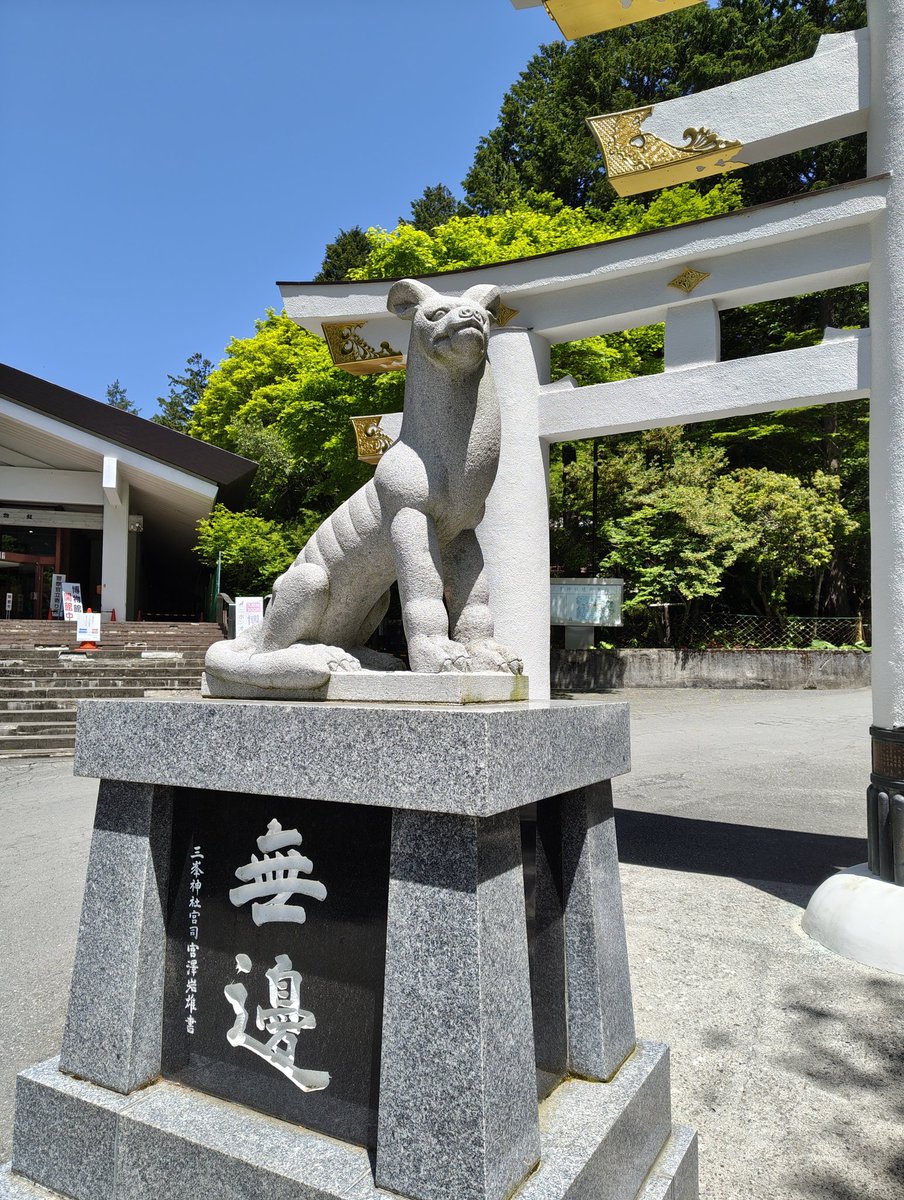 miracledelta's tweet photo. 今日は真夏日になるという

では近場で標高の高い所に逃げよう

という事で急遽「三峯神社」へ

中学以来なので50年振り https://t.co/f0J7X9Unv6