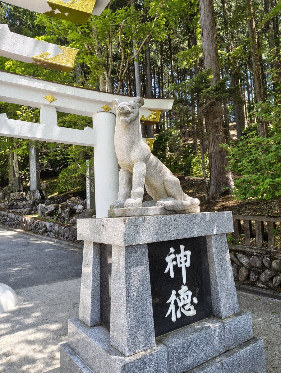 miracledelta's tweet photo. 今日は真夏日になるという

では近場で標高の高い所に逃げよう

という事で急遽「三峯神社」へ

中学以来なので50年振り https://t.co/f0J7X9Unv6