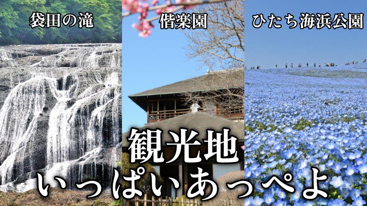 ヨコヤン tweet media