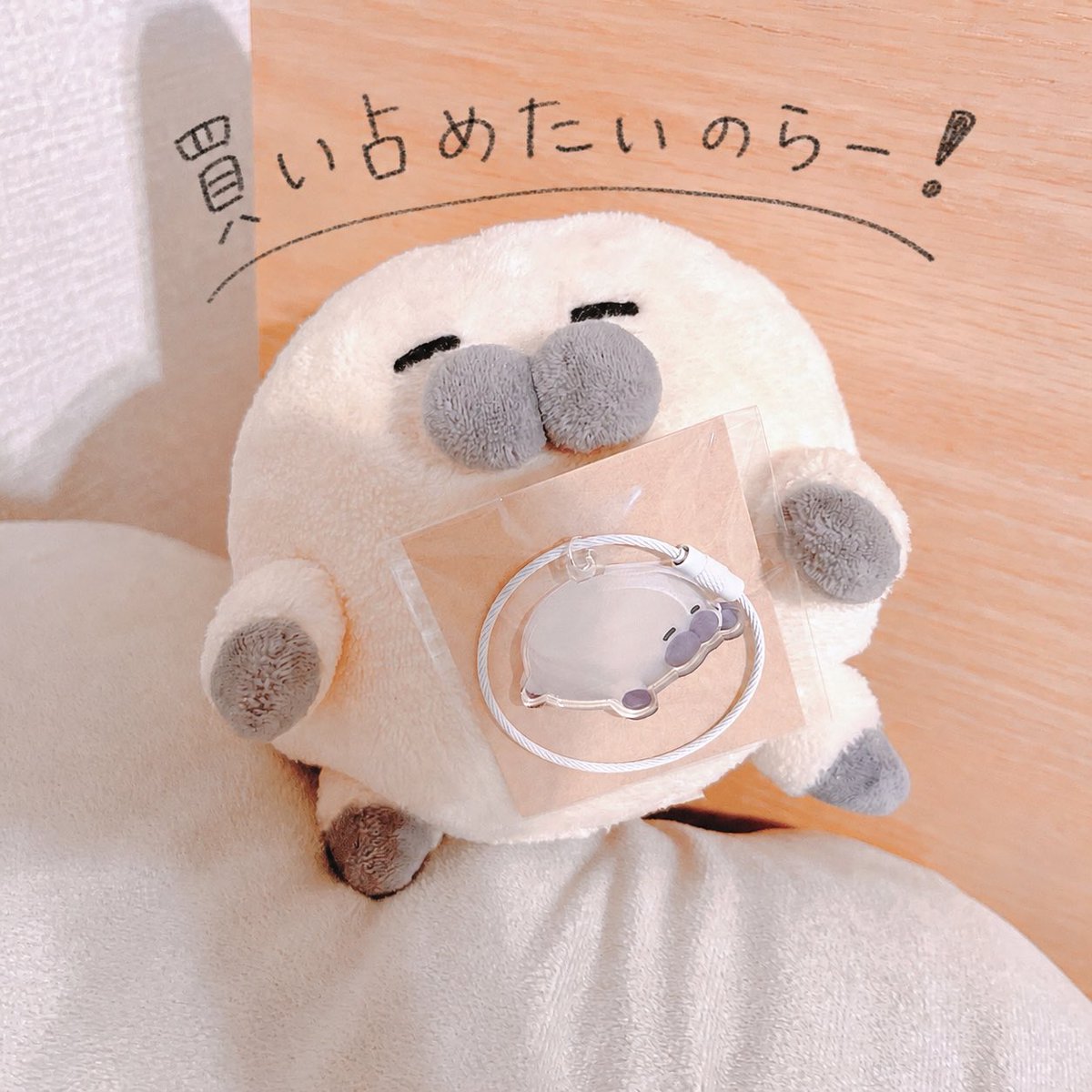 のらざらし (@norazarashi) / Posts / X