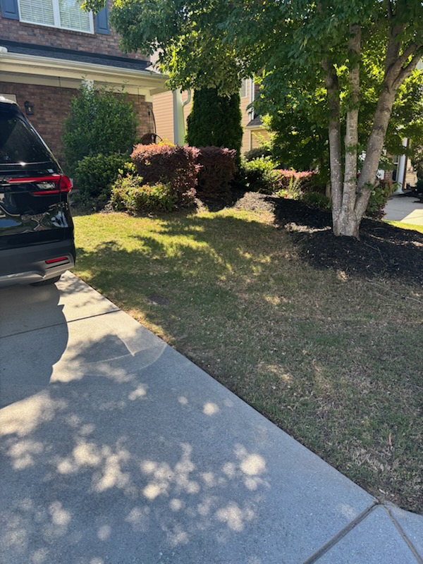 palmettolawn's tweet photo. Fresh mulch can really make a difference this time of year. It helps lock in moisture, keeps weeds down, and makes the whole yard look clean. If your beds are looking a little tired after winter, give us a call.

#SmallBusiness #WeedControl #BackyardSpring #SpringOutdoors #SCL... https://t.co/x679wAiiEw
