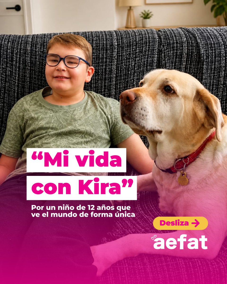 AEF_AT's tweet photo. Juanma, un niño de 12 años con ataxia telangiectasia, nos emociona con la historia de Kira 🐾 Su compañera inseparable, refugio y alegría en los días difíciles. Una historia de amor, resiliencia y esperanza 💛✨ #HistoriasQueInspiran #AtaxiaTelangiectasia #AmorIncondicional https://t.co/HCbEZYmMoV