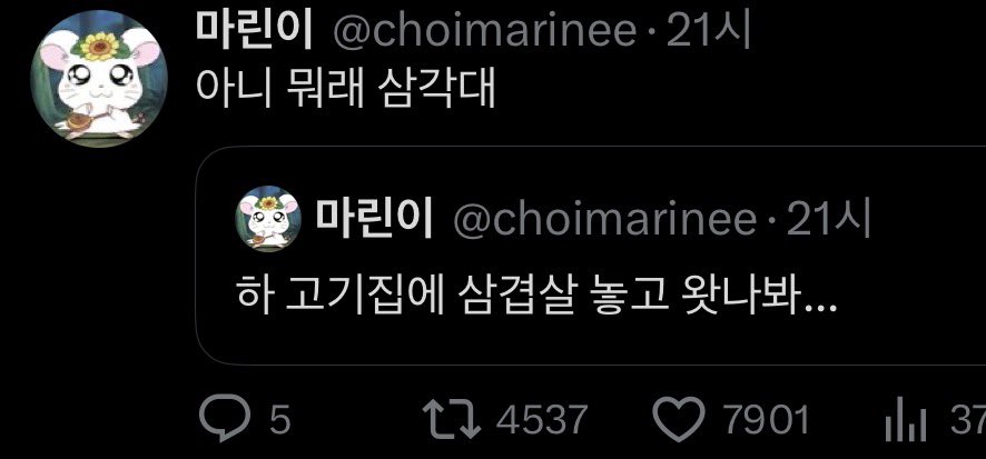 멍드 tweet media