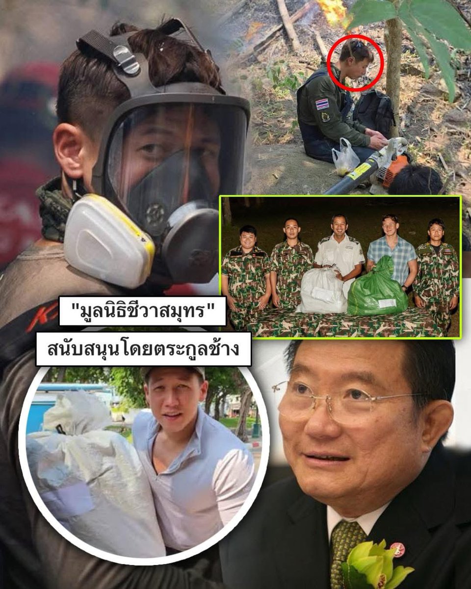 Kawaaii tweet media
