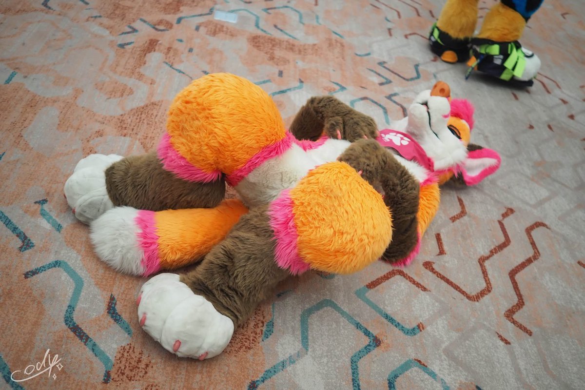 🦊 Kiyochii Thefox ✨ tweet media