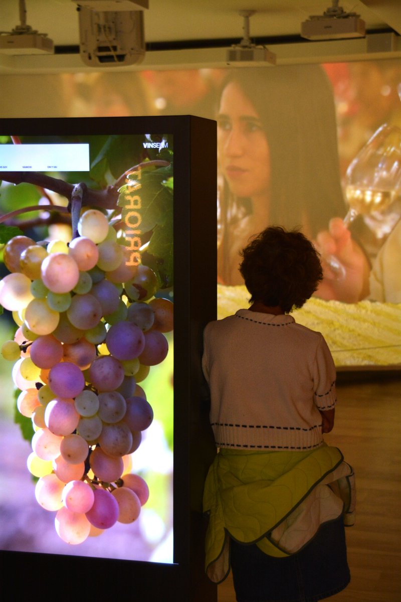 VINSEUM tweet media