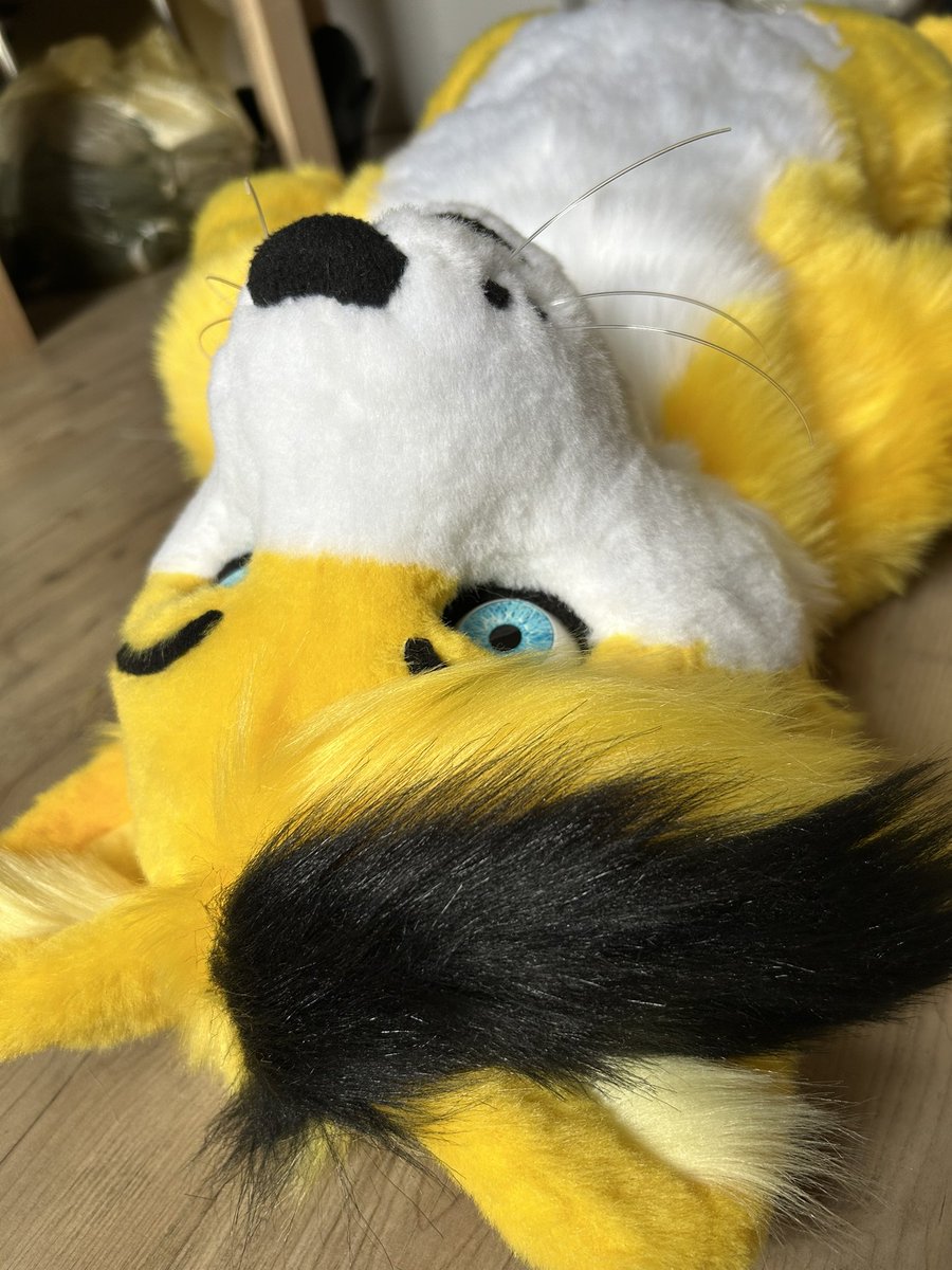 ToonyStuff's tweet photo. Preview of a fursona-handpuppet commission. XXL Puppet. 😅😆 #furry #handpuppet #handmade https://t.co/PsZNScmVSE