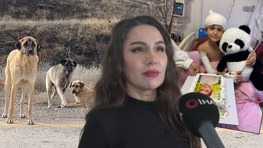 İhlas Haber Ajansı tweet media