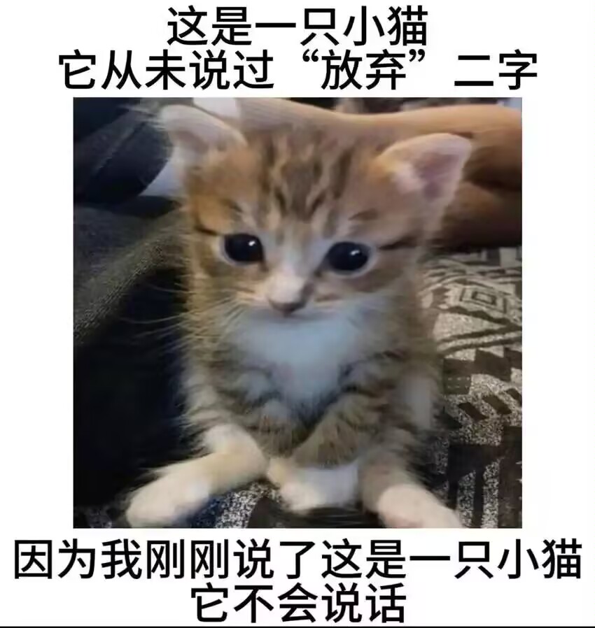 李李 tweet media