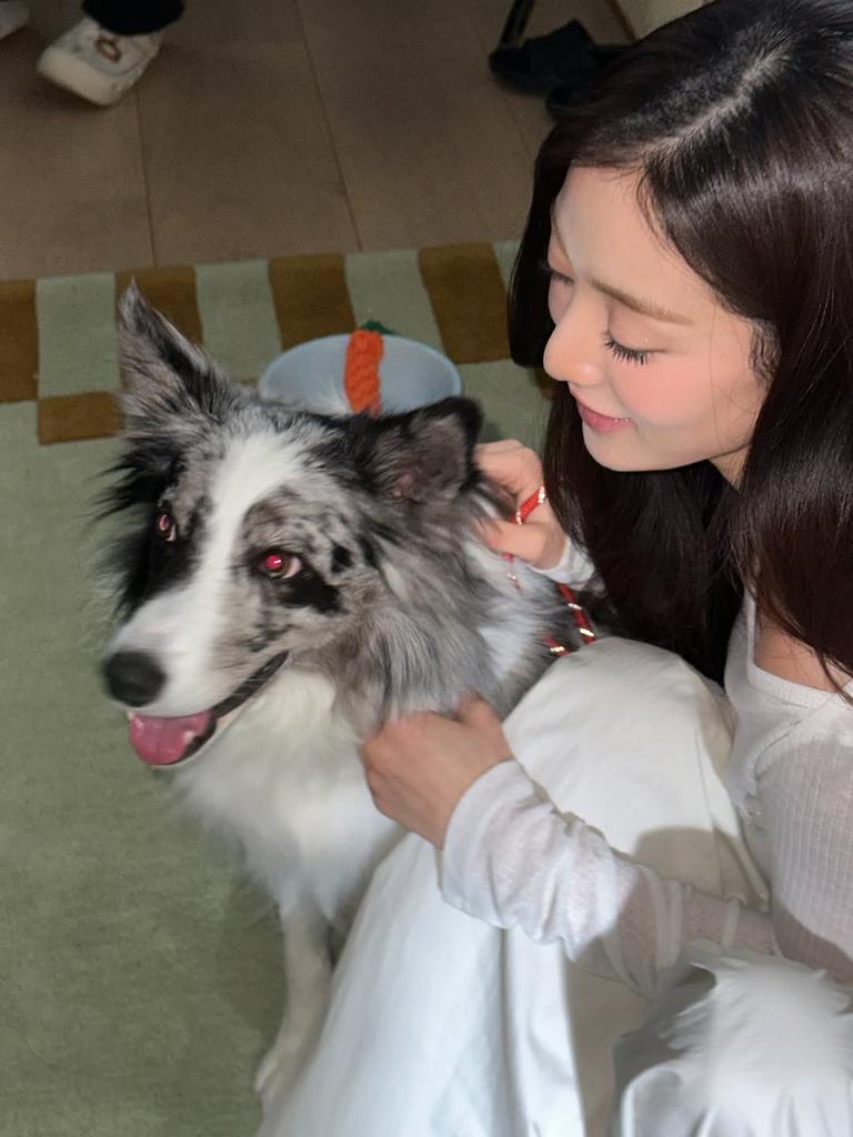 _zyozyoo's tweet photo. Love grows where a puppy goes, 🤍🐾 https://t.co/oPTRoKYOy0