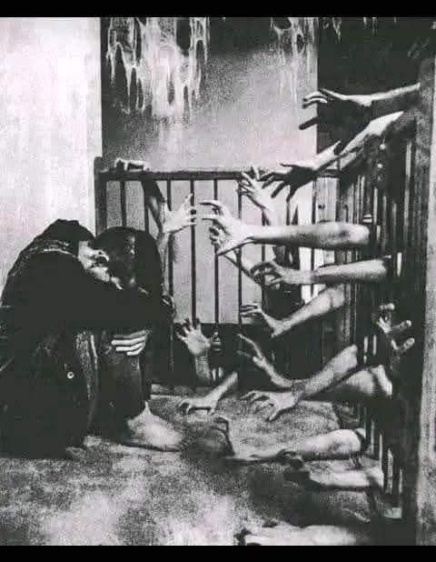aLi..! tweet media