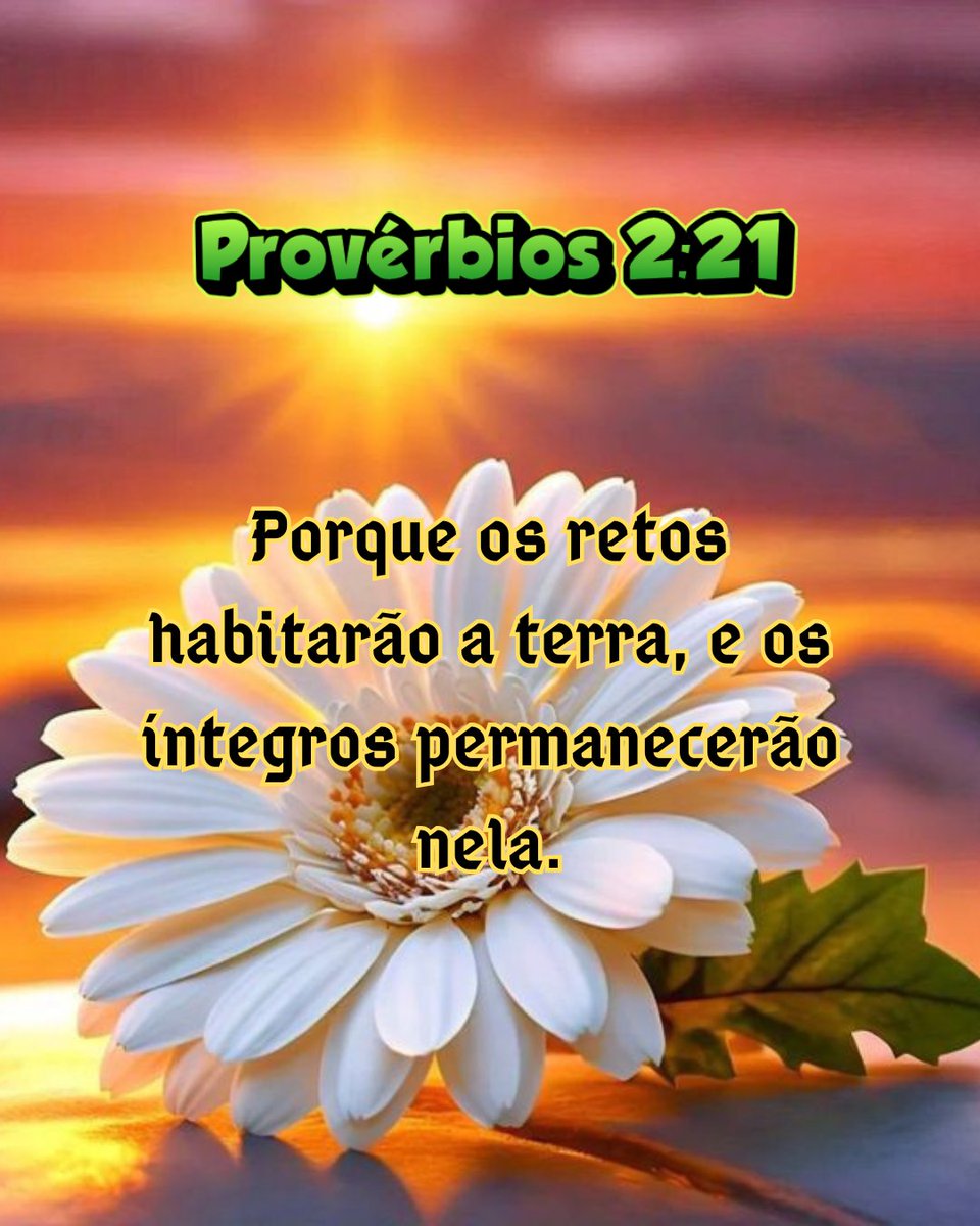 chamorim's tweet photo. Bom dia! Que essa semana seja vivida unicamente pela graça de Deus sendo cuidado pela sua poderosa mão ✋️. https://t.co/Tsw3nUTxBc