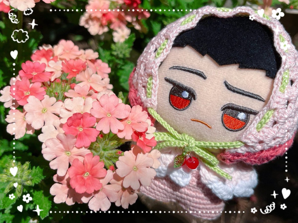 baronuinui's tweet photo. ・────・୨ 🌷 ୧・────・

　   スーパーべナ咲いた〜🥰
  このお花本当に可愛くて好き💕

 #スーパーべナ  #ピーチメルバ
　
　　　　　　  ／″\  ｷﾚｲﾀﾞﾅ
　           　 ( 눈_눈ﾒ)
　　　　　   ⊃💐⊂ https://t.co/0TpWQeoovg