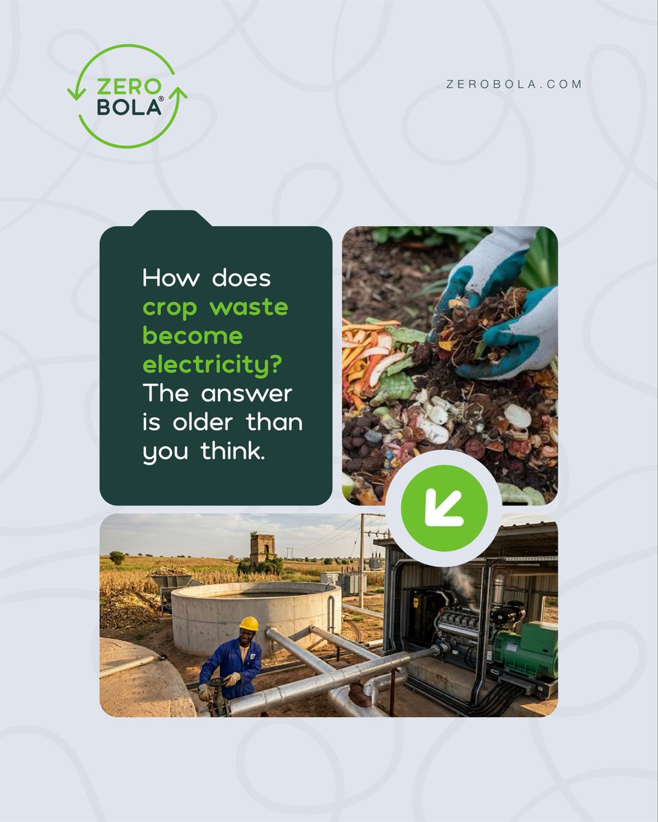 ZeroBola_ng's tweet photo. Waste to energy is not theory. It is biology.

#bioenergy #wastescience #circulareconomy #innovation #zerobola https://t.co/TmybdZ9UHe