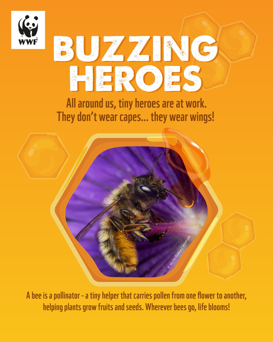 WWF-Pakistan tweet media