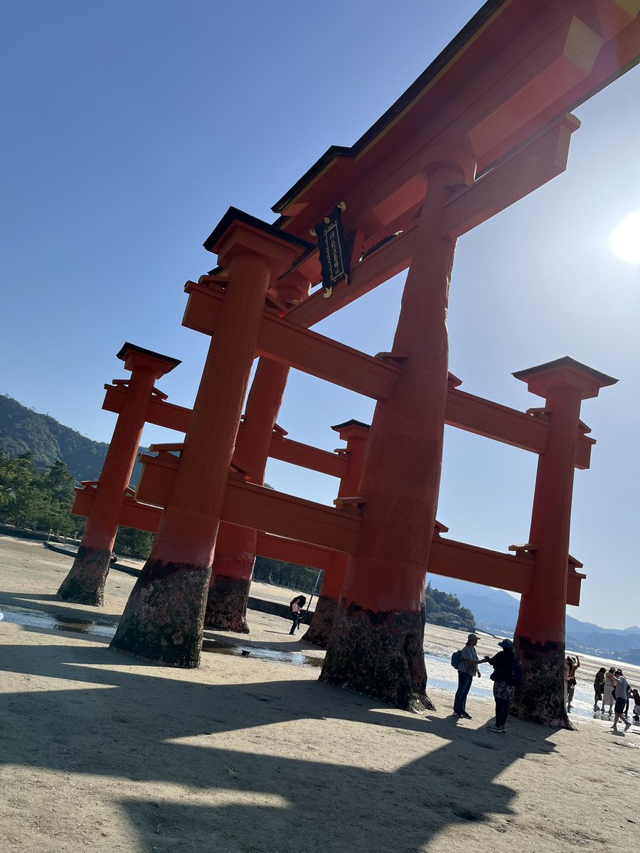 SDEGING's tweet photo. 宮島旅行✈️ https://t.co/s6ANfxxwI4