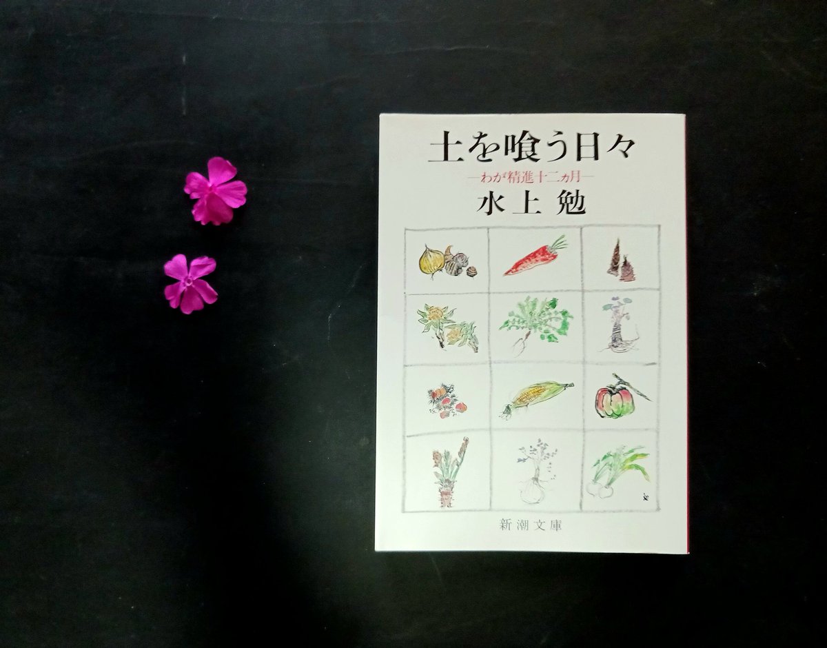 N人 @読書 tweet media