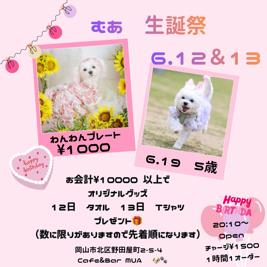 CafeBar_MUA's tweet photo. 2026年6月12日&amp;13日は
むあ生誕祭🎉
ご予約受付中📩

【プレゼント企画】
このアカウントをフォロー&amp;
リポストしてくださった方の中から
抽選で1名の方にサイン入り
チェキをプレゼント🎁

参加方法は
①当アカウントをフォロー
②当ポストをリポストで応募完了
6月13日(土)23:59まで https://t.co/8deZnNbloJ