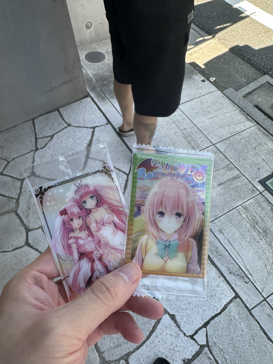 ここたむ2.0 tweet media