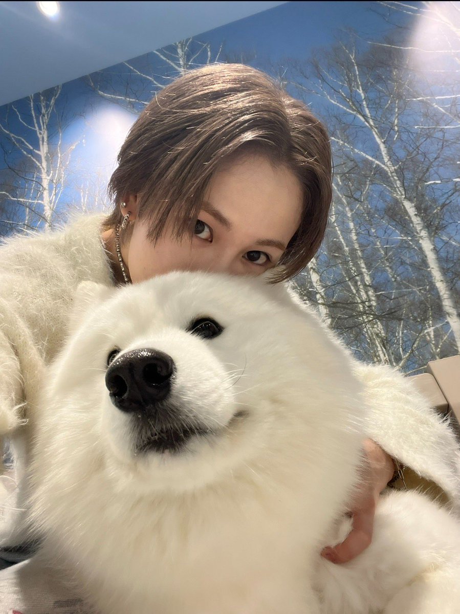 WOLF HOWL HARMONY【公式】 tweet media