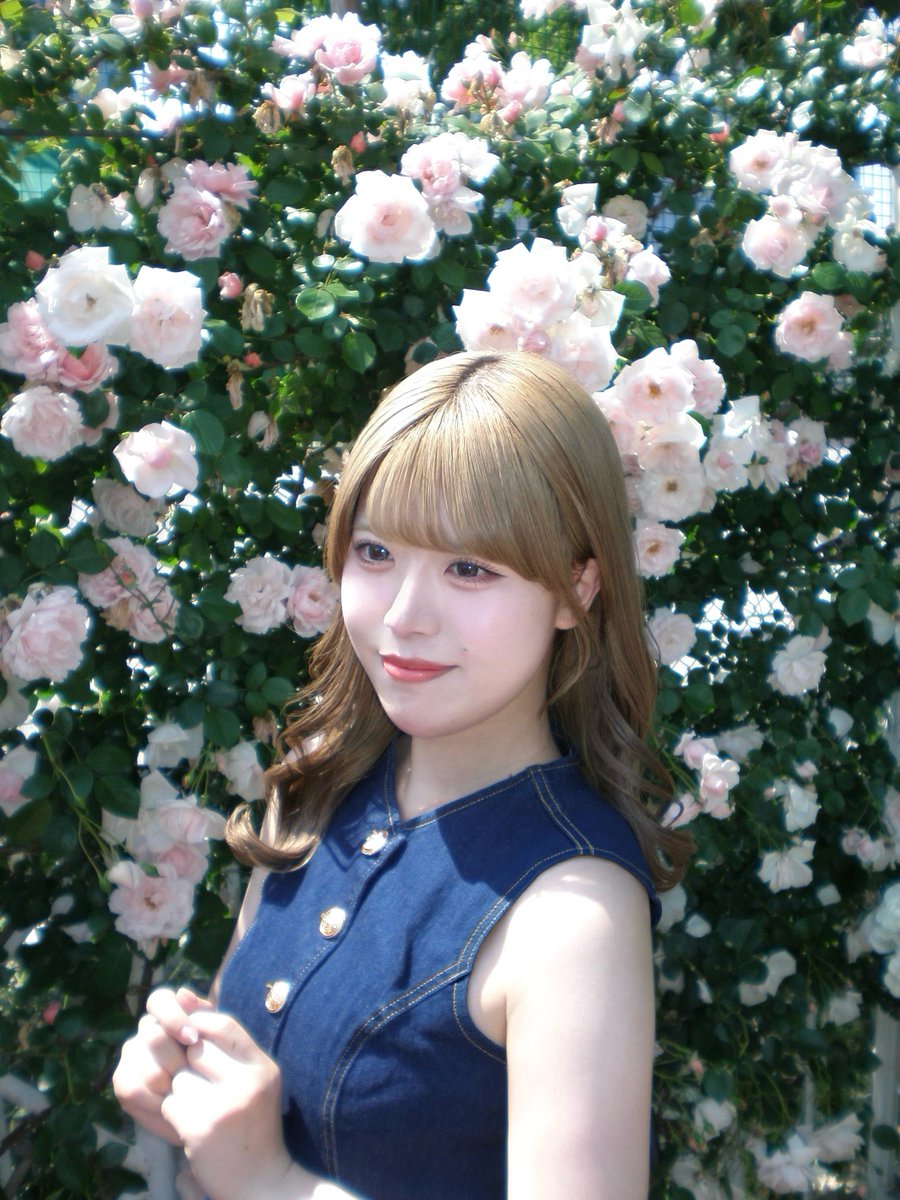 真白 萌【New Crown】 tweet media