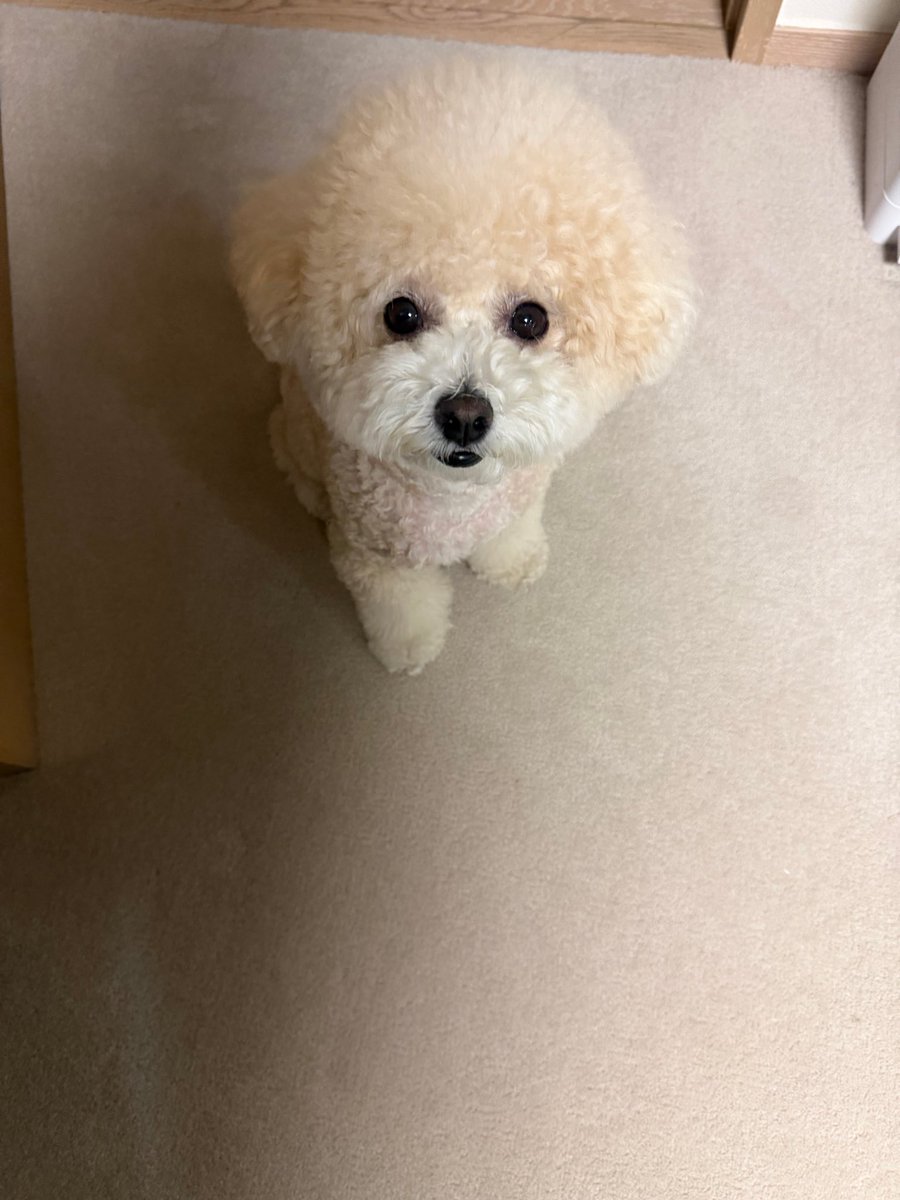김선호호호 ◡̈ 🍀🥐 tweet media