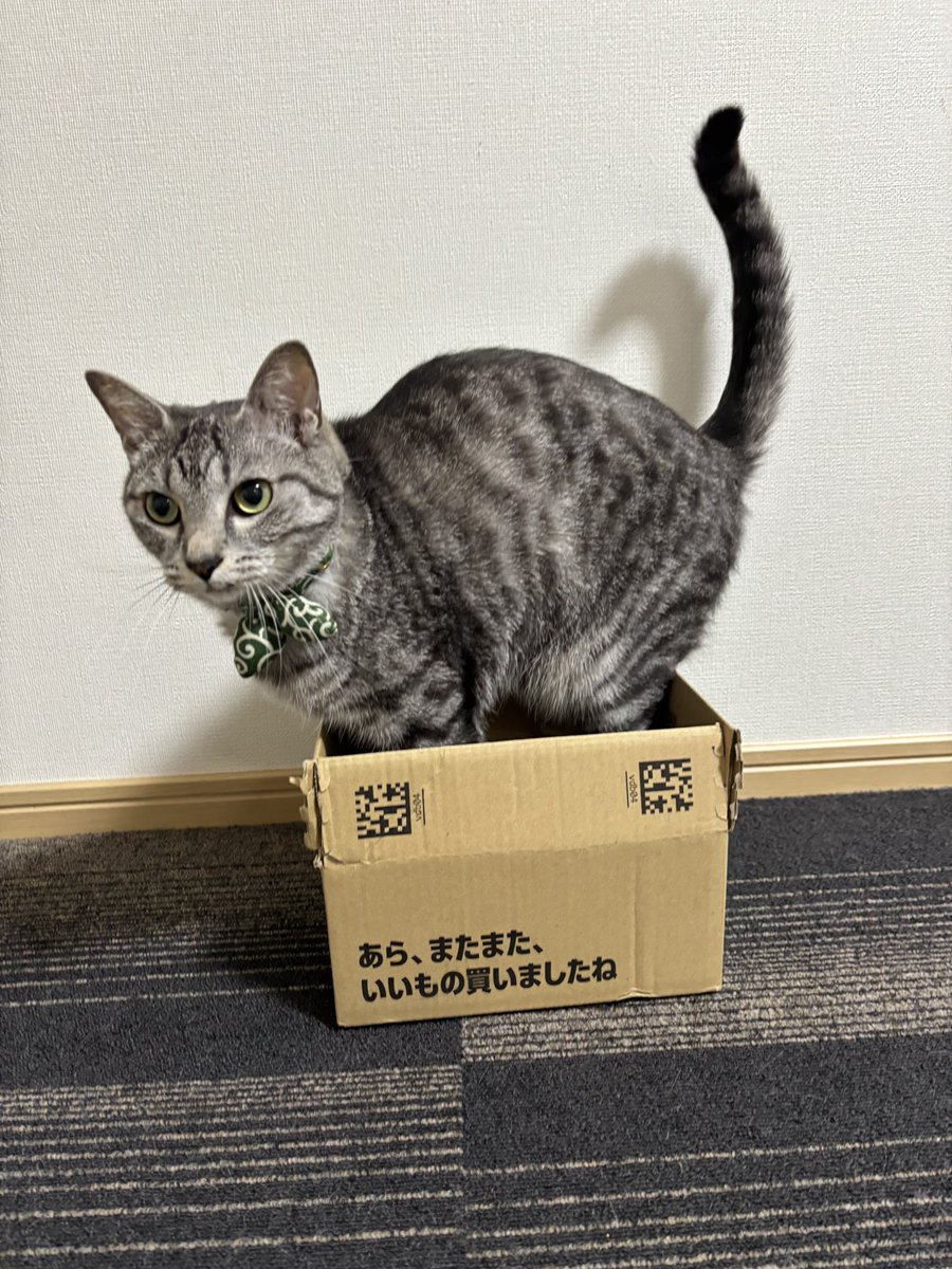 ととまるはんみ tweet media