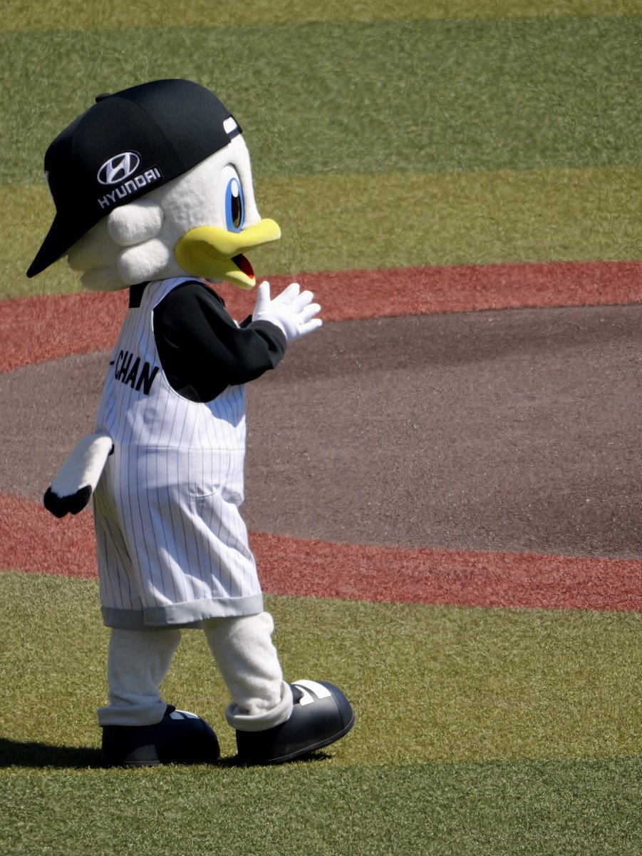 めぐ tweet media