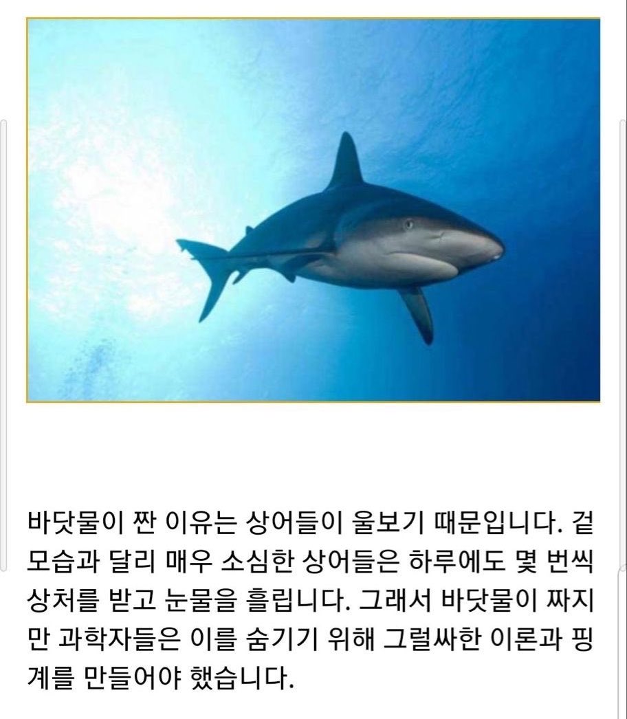 코이ᯓ tweet media