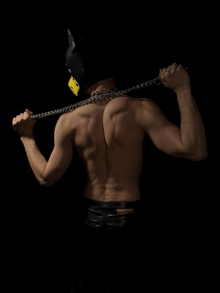 GeelPup's tweet photo. Who wants to be on my leash? 😈 https://t.co/o1Mhj3OGGE
