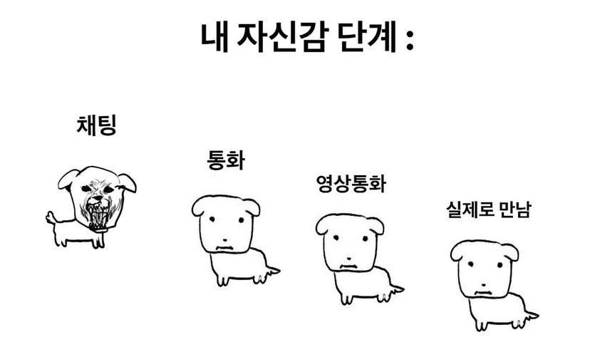 량 tweet media
