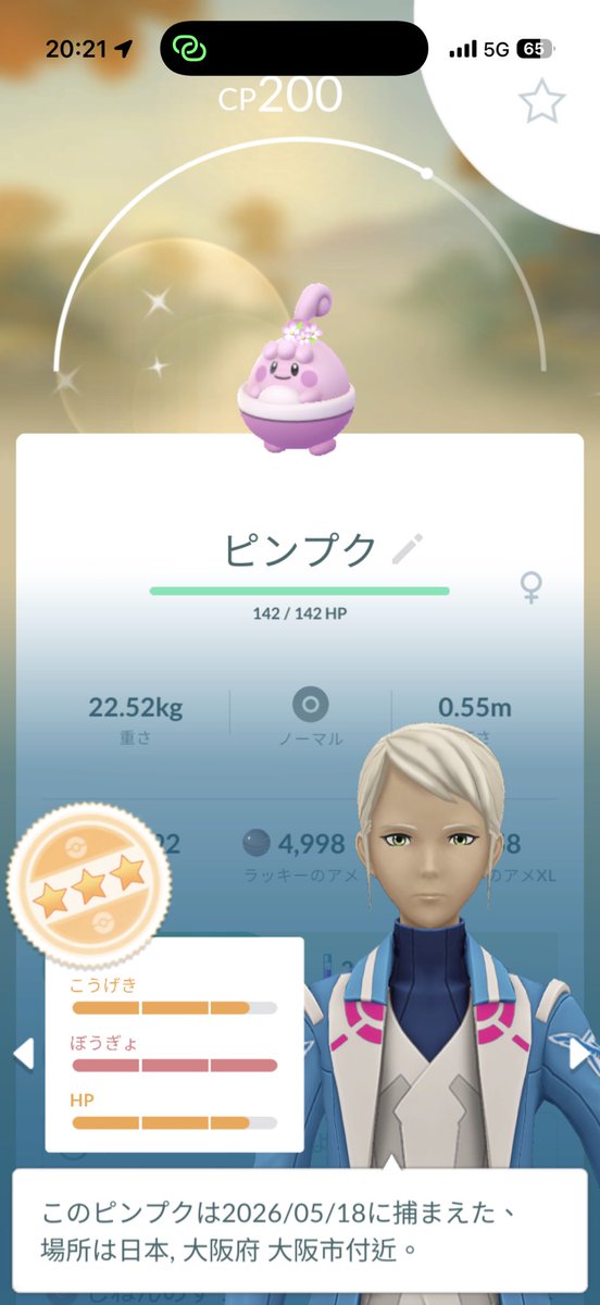 琴 tweet media