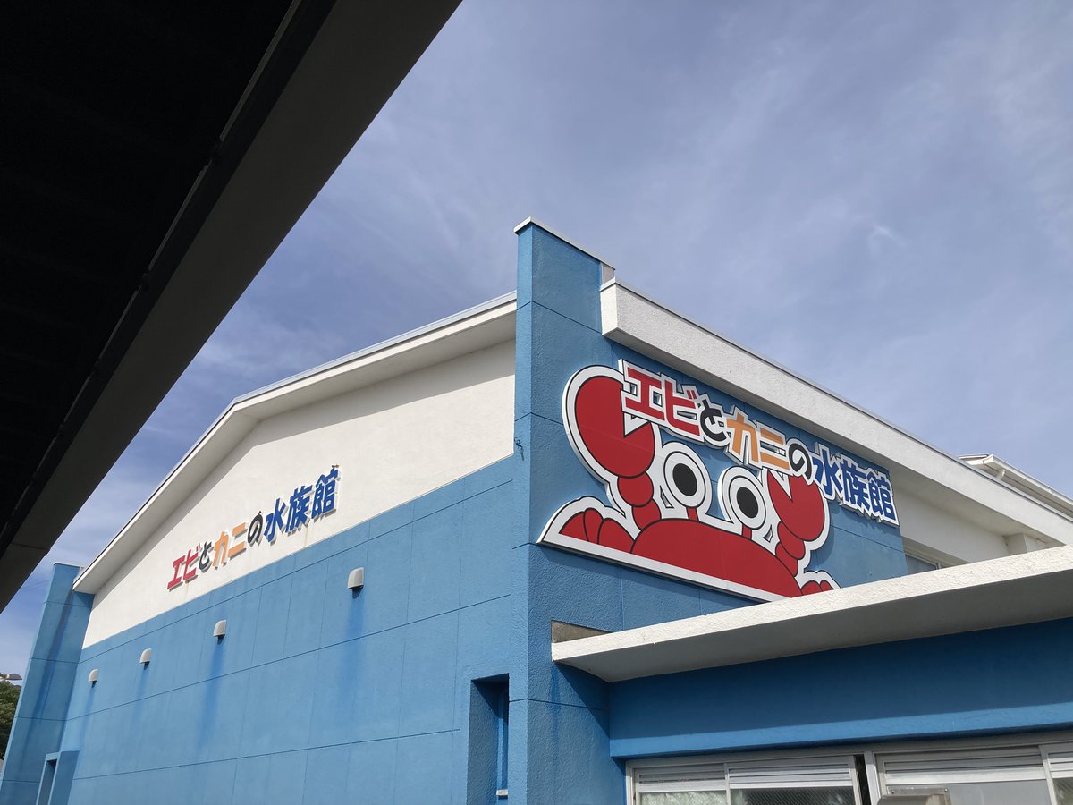 ちりちりあたま tweet media