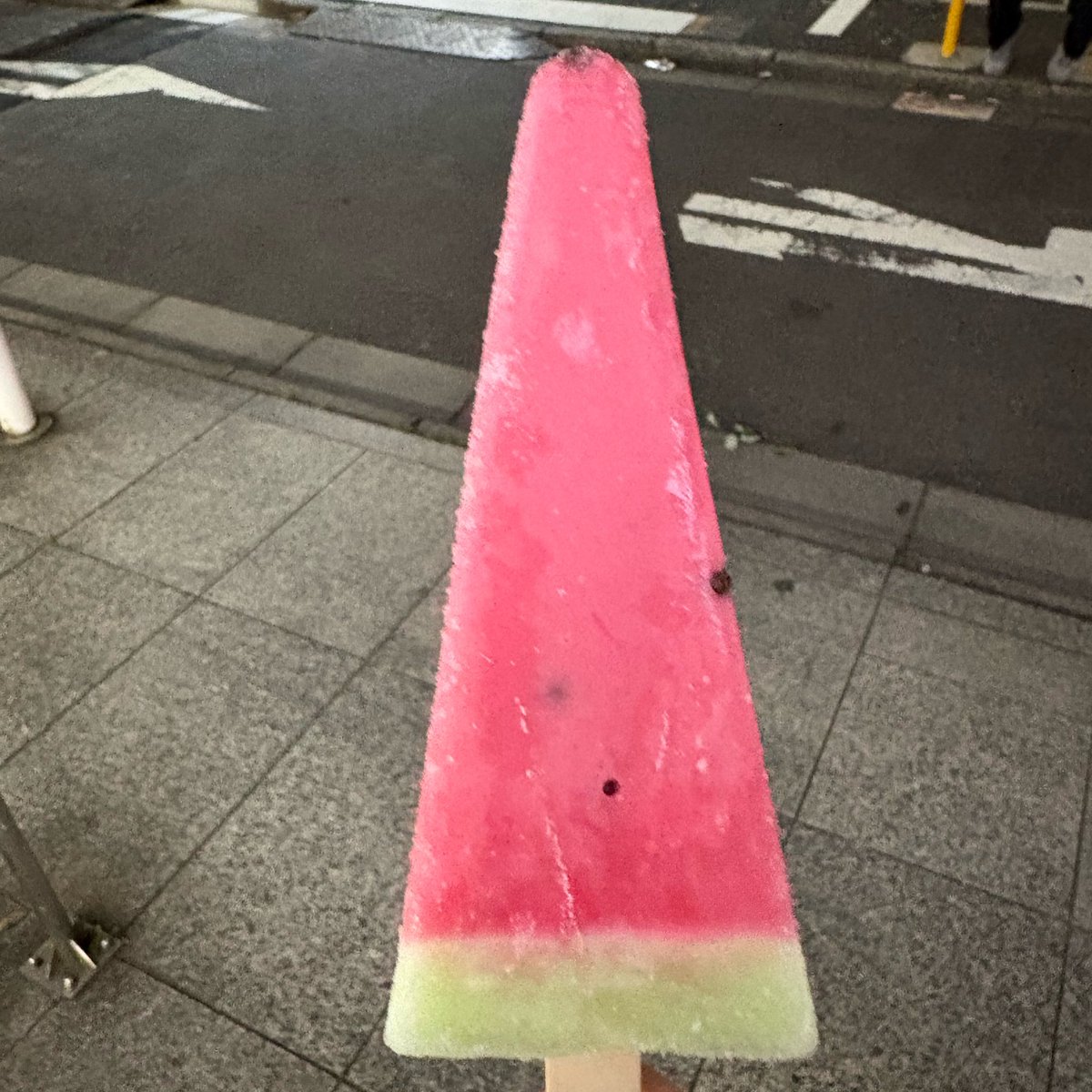 けだまぴょん tweet media