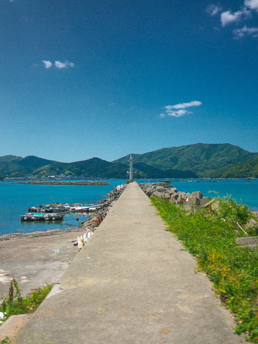 YutoPhotography tweet picture