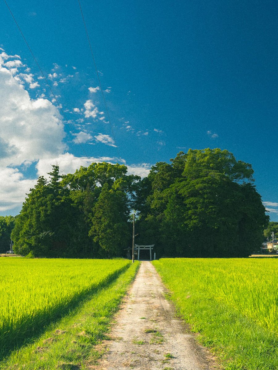YutoPhotography tweet picture