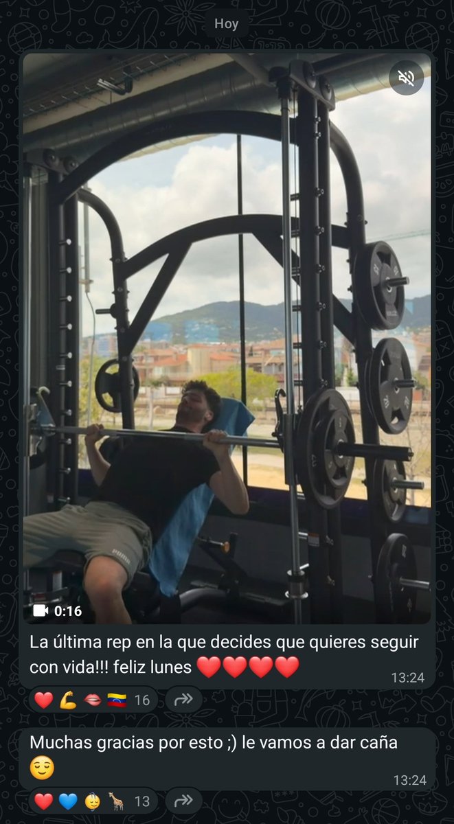 maxinfo_'s tweet photo. Max comparte un nuevo video en el gimnasio en su canal de WhatsApp. 💪🏻 https://t.co/K9Da0rDuM2
