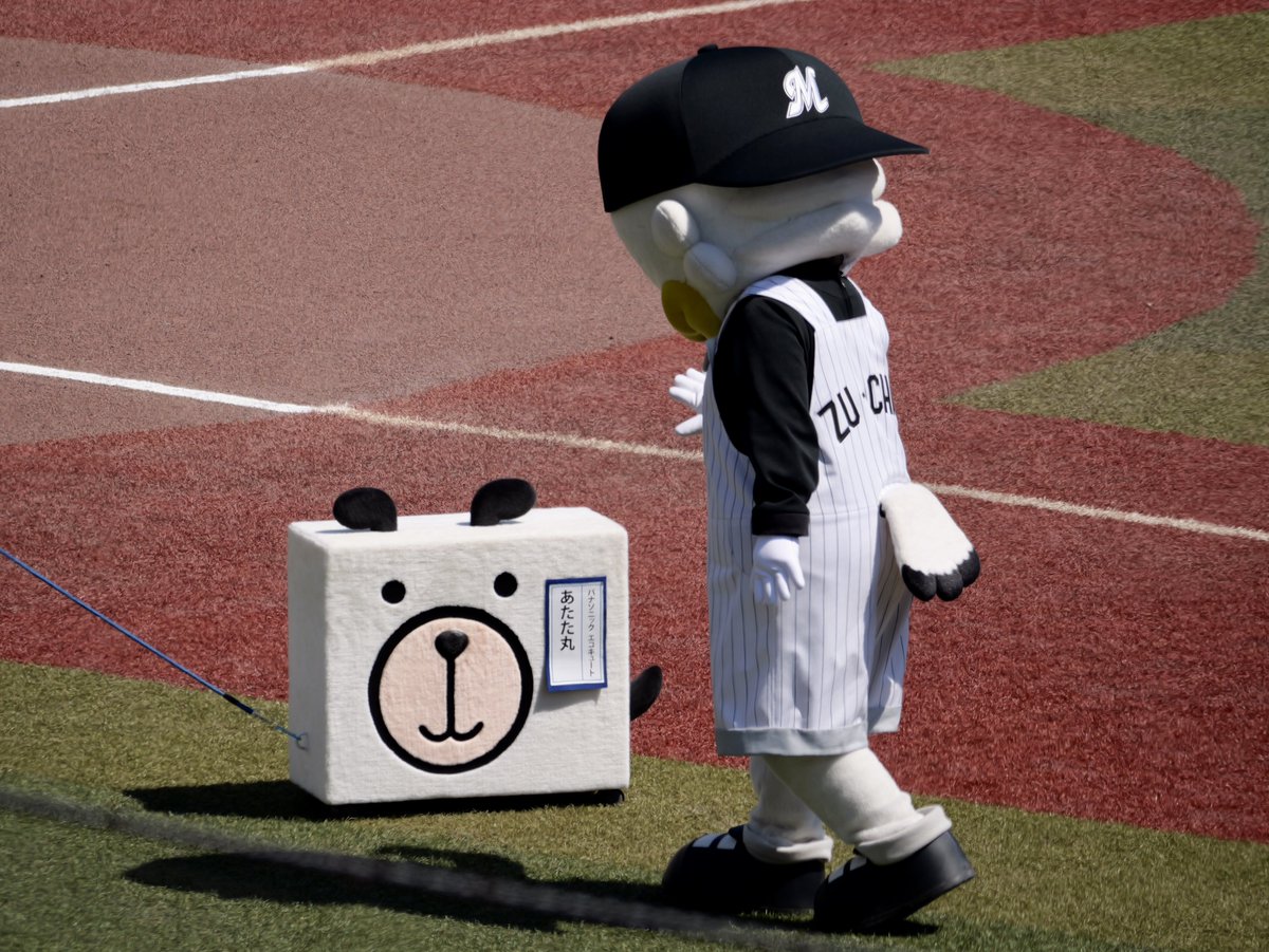 めぐ tweet media