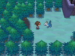 Pokémon Daily Post💫 tweet media