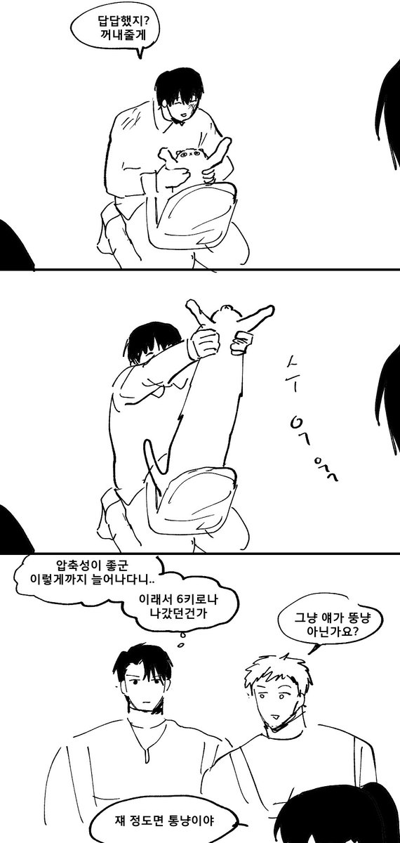 초코보🐤 tweet media