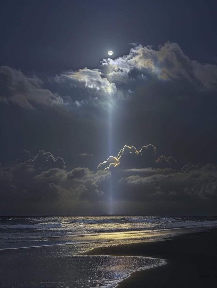 aestheticspost_'s tweet photo. Moonlight https://t.co/dWTnGGfjow